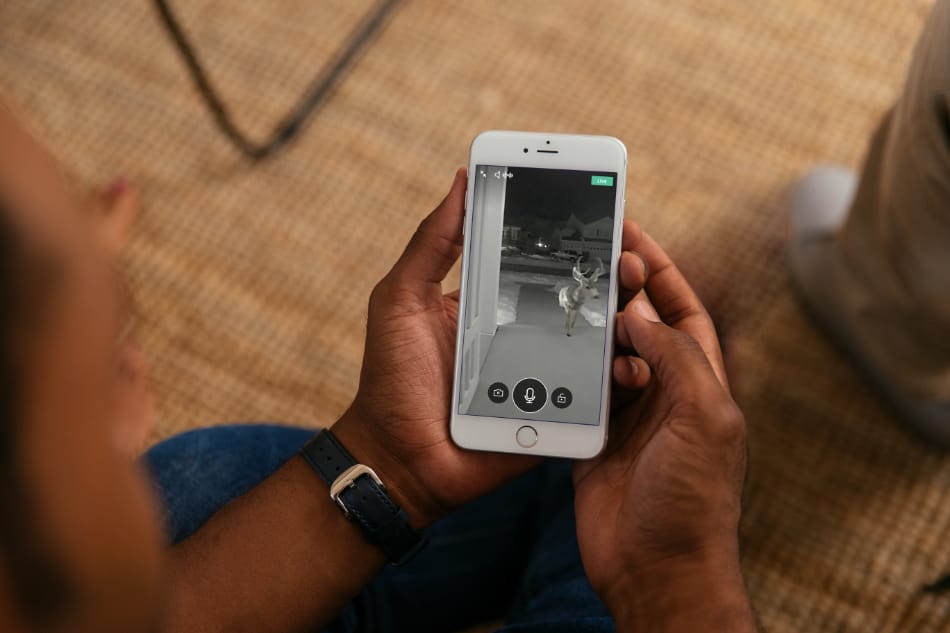 Thief River Falls MN security system